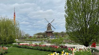 Holland MI Tulip Time Festival