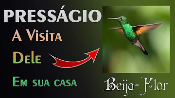 O que significa receber a visita de um Beija-flor?