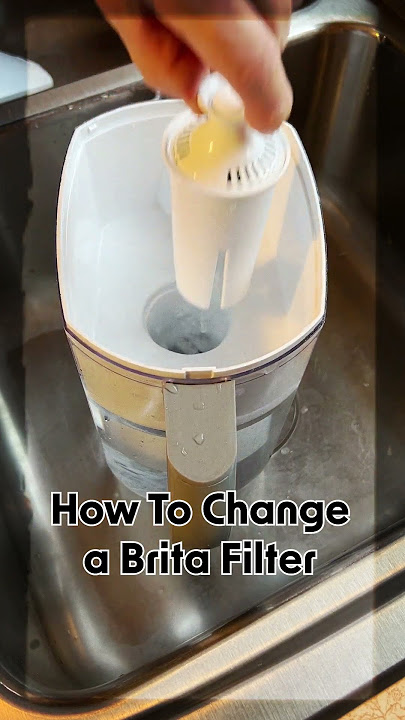 Brita Water Pitcher Filter Change  #shorts #food #cooking #cooking #home #diy #tips #tipsandtricks