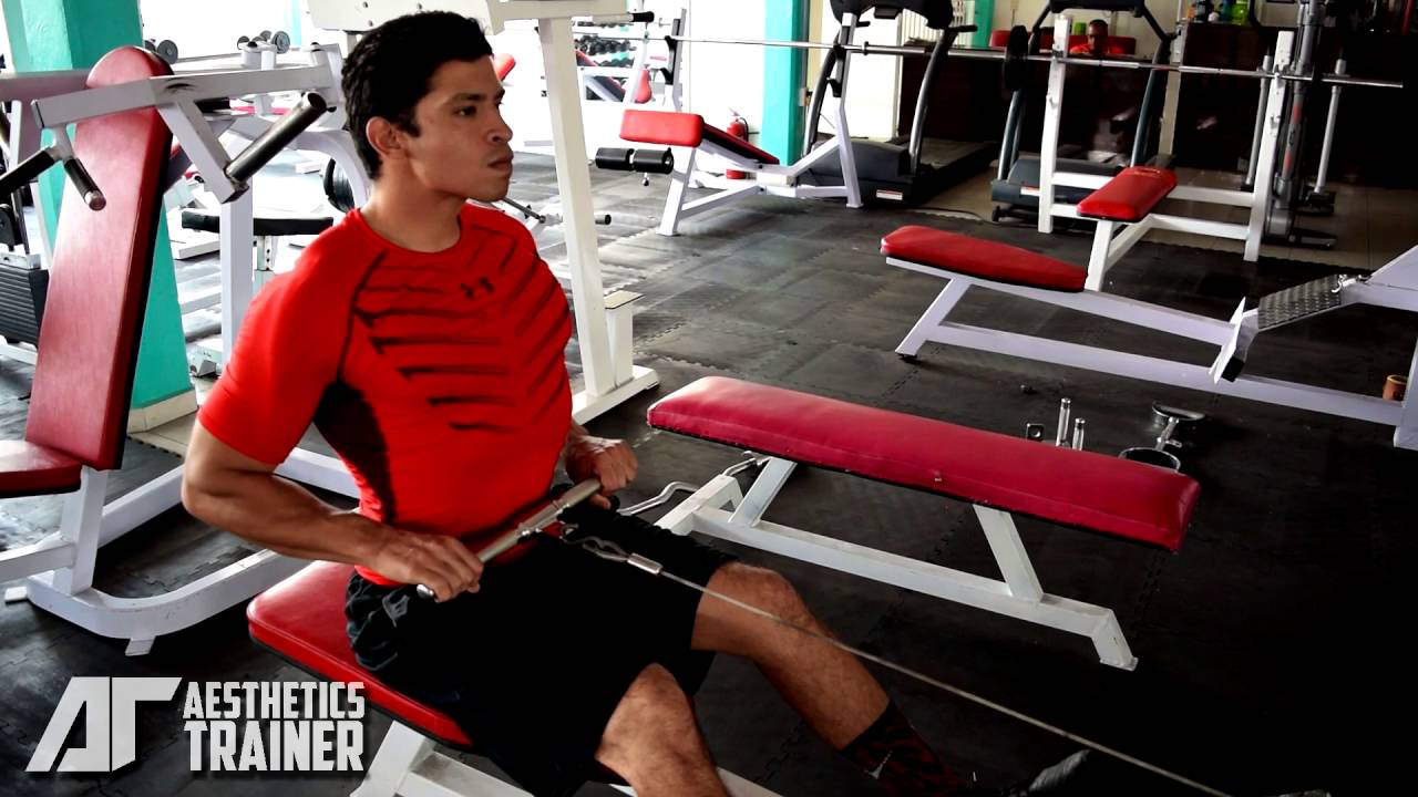 SEATED CABLE ROW OVERHAND GRIP YouTube