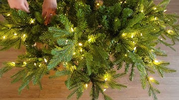 Assembling your Lifelike Artificial Christmas Tree