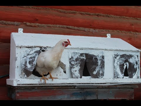 Гнезда для кур несушек своими руками видео размеры