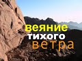 ВЕЯНИЕ ТИХОГО ВЕТРА - Вячеслав Бойнецкий