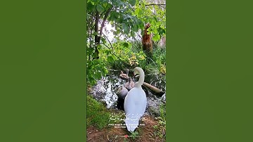 #قرآن #اكسبلور #المصحف #قران_كريم #راحة_نفسية #تلاوة_خاشعة #fypシ゚viral #foryou