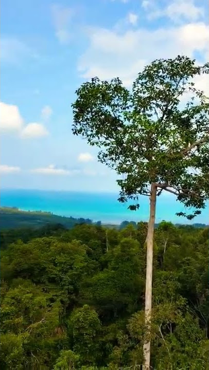 Masyaallah ‼️ Pagoda Nusantara (Sungailiat,Bangka)