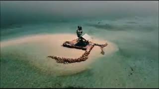 Pulau Saringi Desa Labuhan Burung