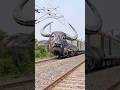 Dangerous buffalo, new express train crossing #train #shorts ￼