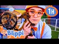 Blippi's Puppy Playground | BEST OF BLIPPI! | Learn Colors and Science with Blippi!