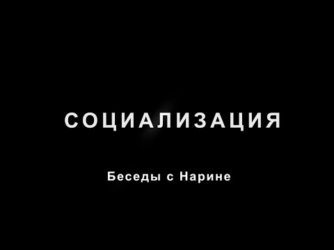 Социализация
