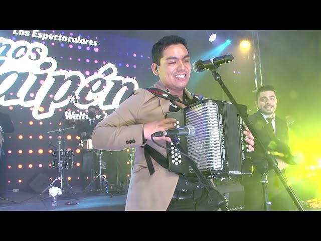 Tributo a Lisandro Meza (en vivo) - Hermanos Yaipén class=