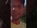 veja como estão as frutiferas