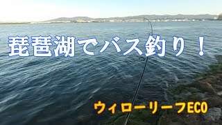 聖地　琵琶湖でブラックバスを釣ってみた