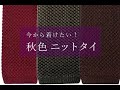今すぐ着けたい！ 秋色 ニットタイ 長さは2サイズ ／  日常に小さなワクワクを！ ネックアクセサリー 専門店 dplus arts ディープラスアーツ