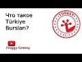 Türkiye Bursları. Бесплатная учеба в Турции.