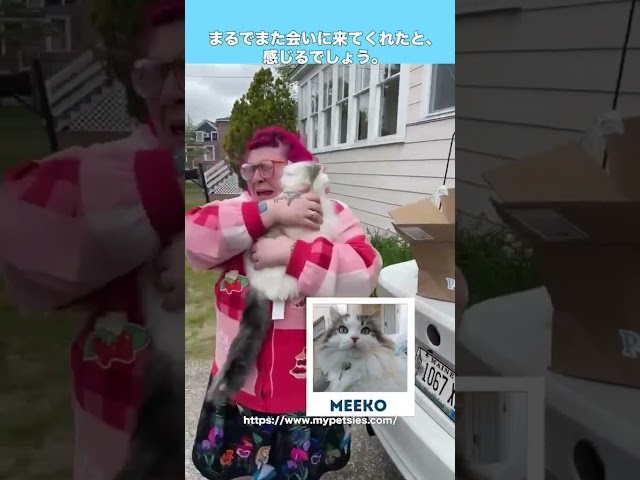 大好きなぬいぐるみと同じ犬をサプライズプレゼント