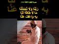 ر ب ن ا ل ا ت ؤ اخ ذ ن ا إ ن ن س ين ا أ و أ خ ط أ ن ا ر ب ن ا و ل ا ت ح م ل ع ل ي ن ا 