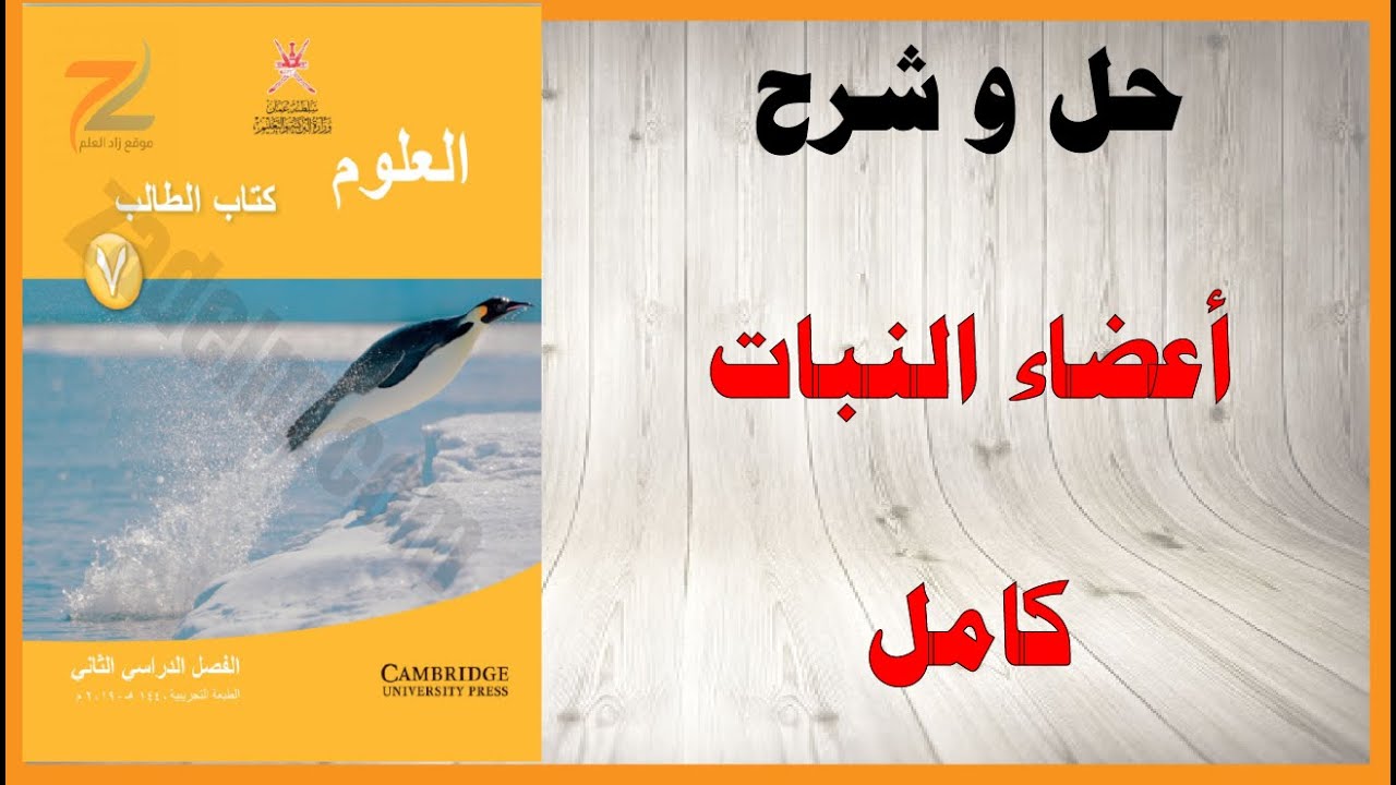 حل أسئلة و شرح أعضاء النبات كتاب العلوم الصف السابع المنهاج العماني