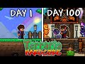 I survived 100 days in hardcore terraria