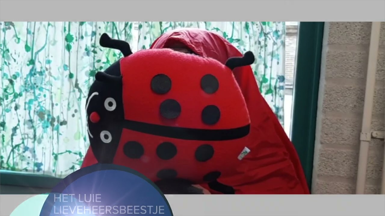 The Masked Reader - St. Vitusschool