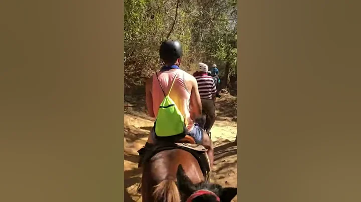 Horseback Riding in PV