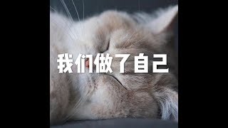 201712 我们做了自己22782