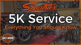 5000 Mile Sportster DIY Service Tips 5000 Mile Sportster DIY Service Tips