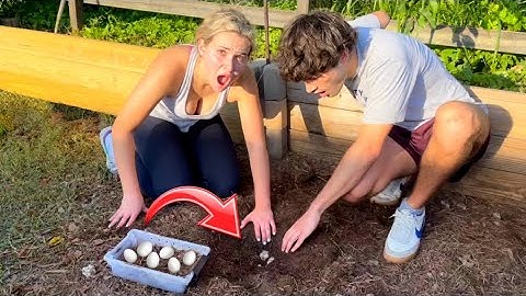 DIGGING UP RARE TORTOISE EGGS WITH MY BOYFRIEND! THE PERFECT DATE!