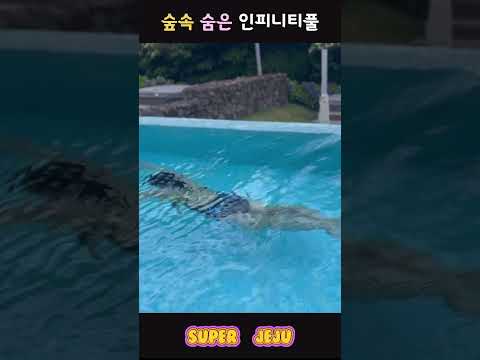 제주 10만원대 5성급 가성비 호텔추천 #제주호텔 #제주숙소 #제주여행 #호캉스 #인피니티풀 #제주도 #에코랜드 #shortsvideo