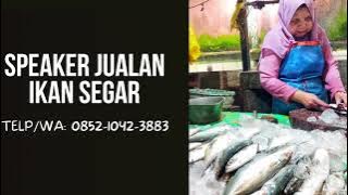 AMPLI TOA JUALAN KELILING IKAN segar, Telp/WA: 0852-1042-3883, musik pedagang keliling