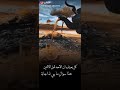 كل يعرف إن الأحد قبل الإثنين 