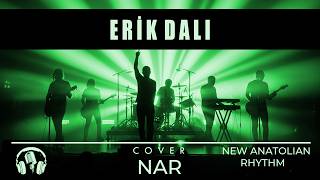 Erik Dalı Rock Cover - Enerji Dolu - Nar / New Anatolian Rhythm