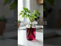 Five Simple At Home Science Tricks With Everyday Items