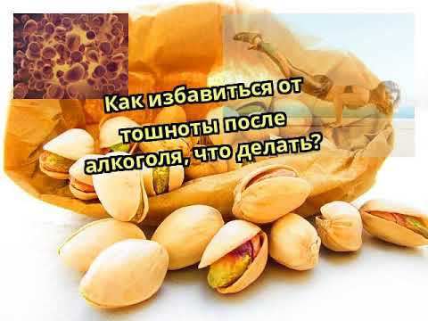 Как избавиться от тошноты после алкоголя, что делать?