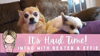 It&#39;s Haul Time! (With Dex &amp; Effs - Because I Lost The Beginning Footage lol) | RachelBeautyPlans