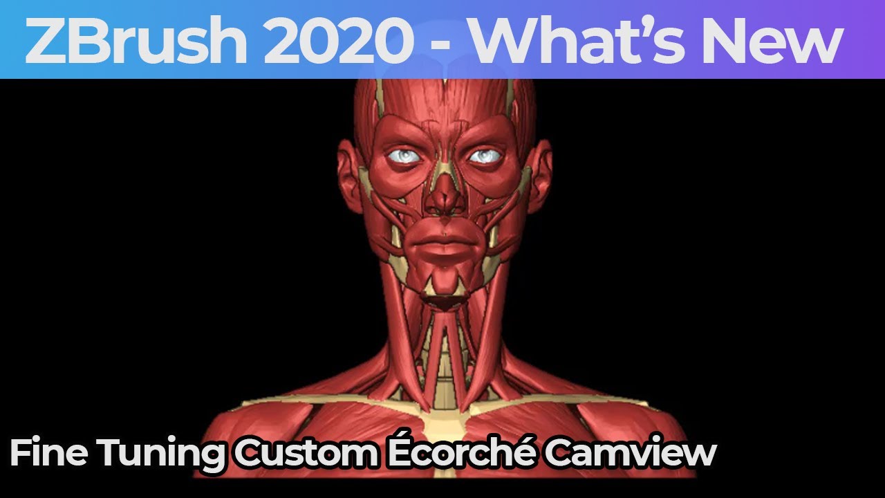 zbrush camview not showing