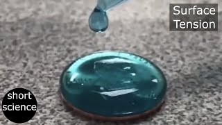 Surface Tension - Super Ability Of Liquid | Water on Penny Experiment