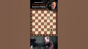 Ладья против коня. "Ловля коня". Стейниц - NN. #chess #шахматы #эндшпиль