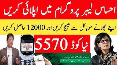 Ehsaas labour program online registration|ehsaas labour program code 2020|ehsaas labour program new3