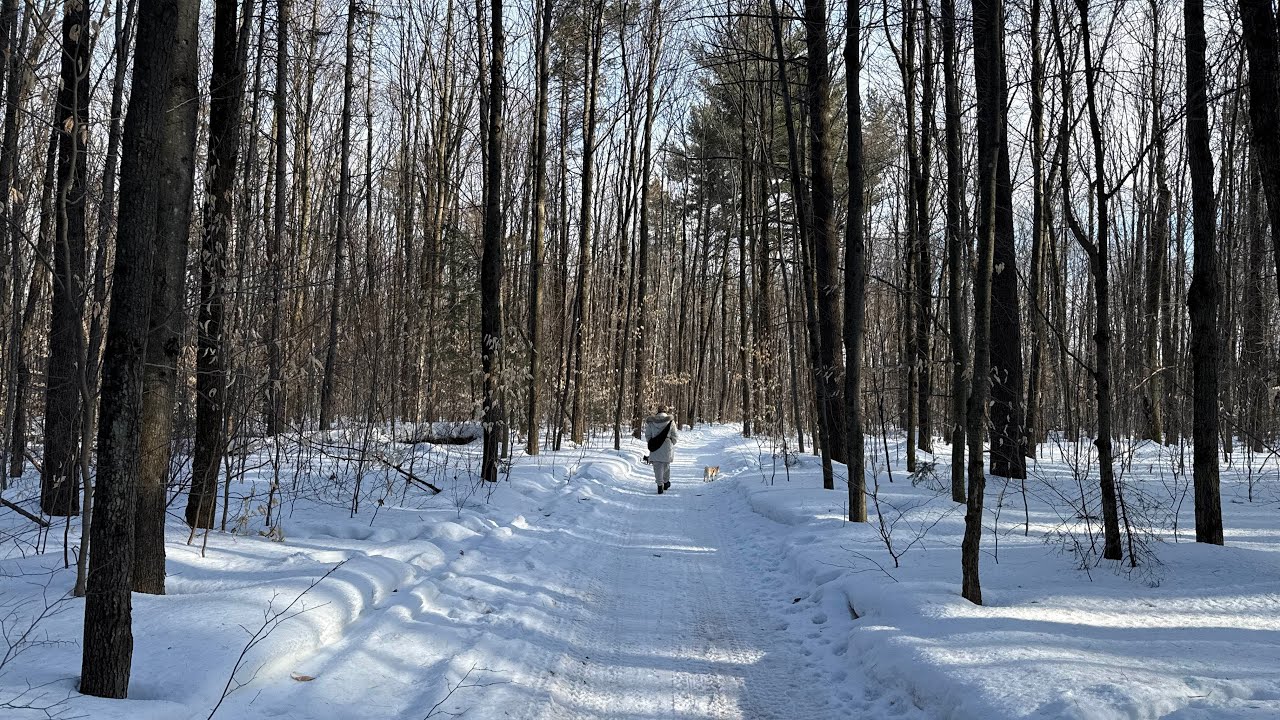 5 mars 2026 et les jours précédants 😇😍💝🎉😎