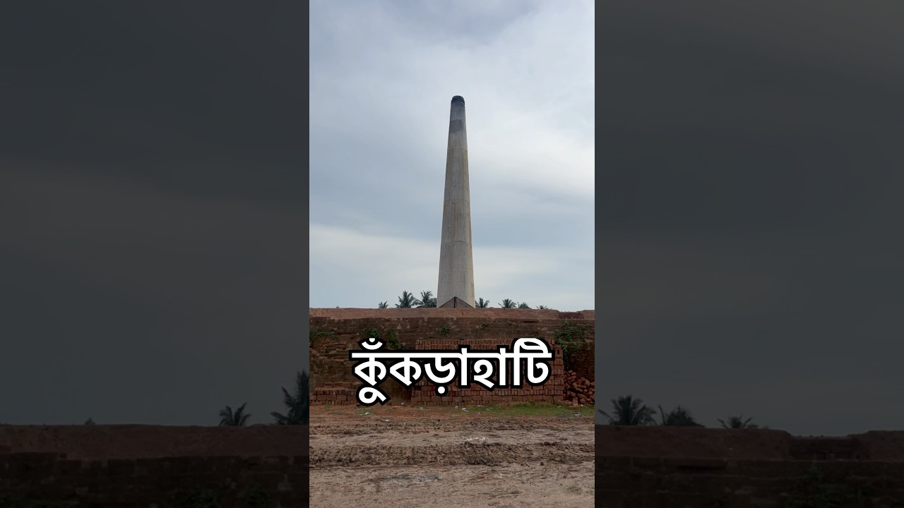 কুঁকড়াহাটি খেলতে গিয়ে ঝামেলা 🤬                  #vlog #minivlog #shorts #shortvideo #video