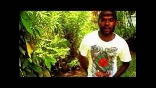 Logic Crew- Can't let you go (video)