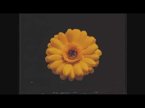 【ruK】花の名残り - Remaining Flower【ピコン Cover】