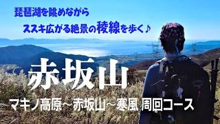 赤坂山】琵琶湖を眺めながら絶景の稜線歩き! 関西百名山 - YouTube