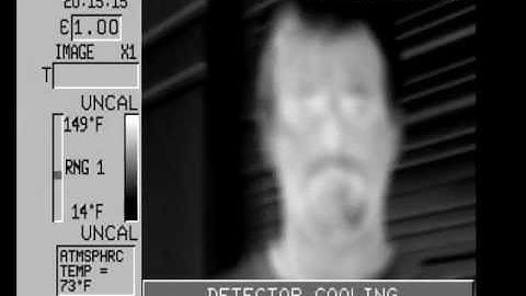 FLIR fusion thermal infrared FLIR day and night vision imager