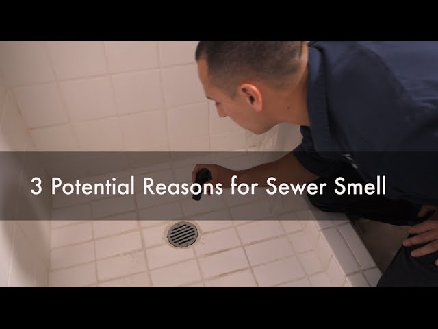 Why Do I Have A Sewer Smell In My Bathroom 3 Potential Reasons Seattle Best Plumbing 206 633 1700 You - What Causes Sewer Smell From Bathroom Sink