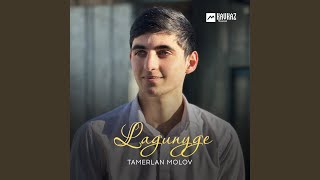 Lagunyge - Tamerlan Molov