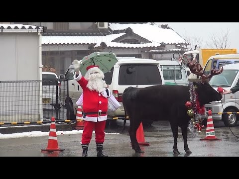 2014三方保育園おたのしみ会　サンタとトナカイ登場！