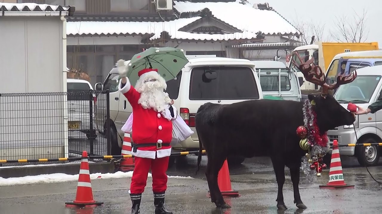 2014三方保育園おたのしみ会　サンタとトナカイ登場！
