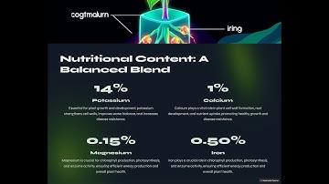 AgroGreen Fertilizer: The Secret to 40% Higher Crop Yields! #CropYieldsBoost #SustainableFarming