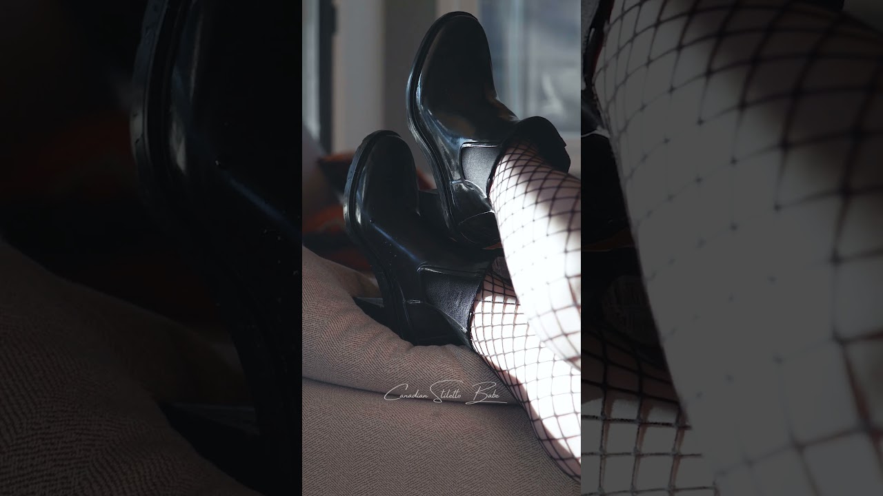 Чёрная кошка в солнечном луче